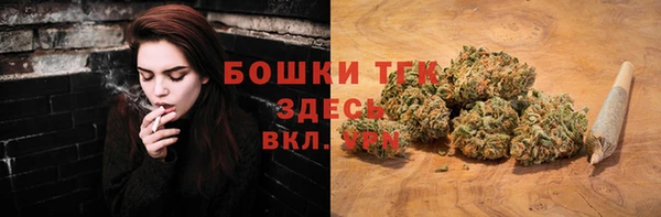 ГАЛЛЮЦИНОГЕННЫЕ ГРИБЫ Зеленодольск