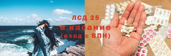 ГАЛЛЮЦИНОГЕННЫЕ ГРИБЫ Зеленодольск