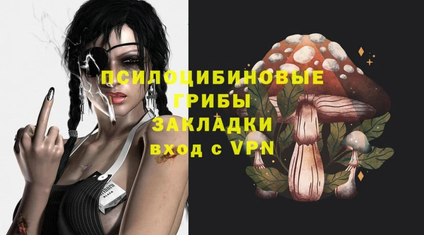 ГАЛЛЮЦИНОГЕННЫЕ ГРИБЫ Зеленодольск
