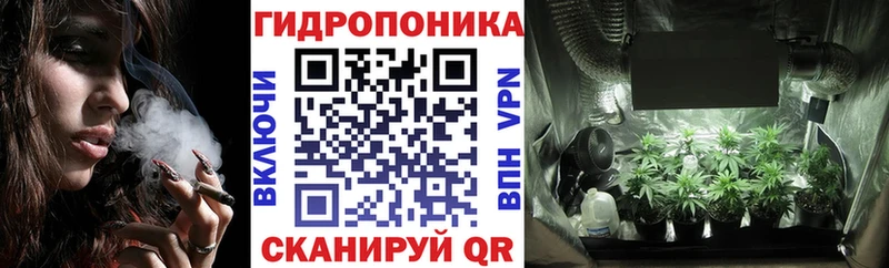Бошки Шишки THC 21%  Купить закладки  Калининск 
